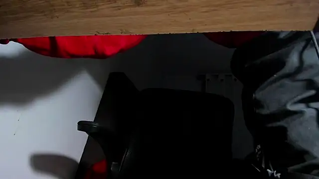 s sven03 online show from December 2024 06:55:02 AM