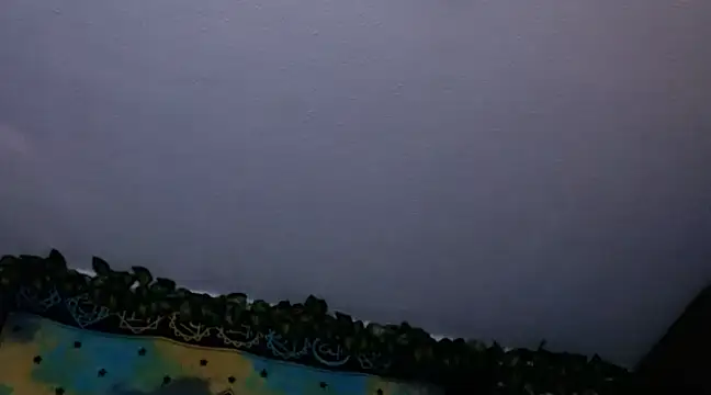 Snapshot of chanel_1041 chatting on December 2024 08:00:02 PM chanel 1041 online show from December 2024 08:00:02 PM