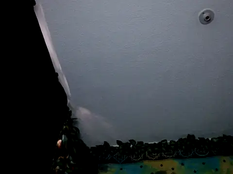 Snapshot of chanel_1041 chatting on January 2025 09:36:02 PM chanel 1041 online show from January 2025 09:36:02 PM