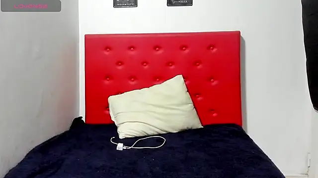 Snapshot of brenda_sofia2 chatting on March 2025 04:29:02 AM brenda sofia2 online show from March 2025 04:29:02 AM