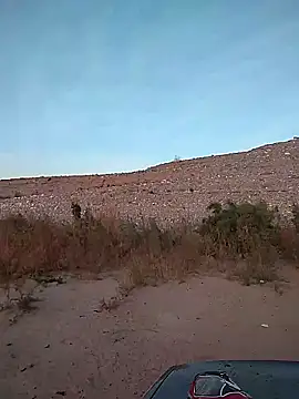 FloppyPickle4u online show from February 2025 02:56:02 PM