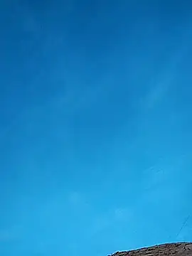 FloppyPickle4u online show from February 2025 01:15:01 AM