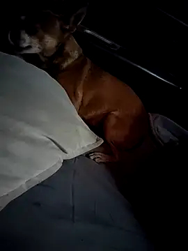 FloppyPickle4u online show from February 2025 04:31:01 PM