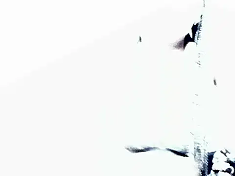 Snapshot of HotJeylee chatting on February 2025 12:22:02 PM HotJeylee online show from February 2025 12:22:02 PM