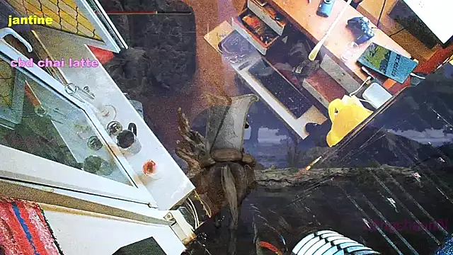 Snapshot of BongChannel chatting on March 2025 03:54:01 AM BongChannel online show from March 2025 03:54:01 AM