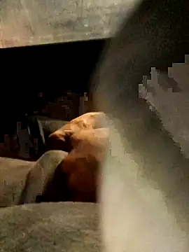 Snapshot of xWhoreAbleX_Pika chatting on March 2025 12:43:01 AM xWhoreAbleX Pika online show from March 2025 12:43:01 AM