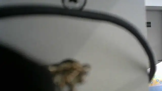 Snapshot of lovense_test04 chatting on September 2025 02:46:02 AM lovense test04 online show from September 2025 02:46:02 AM