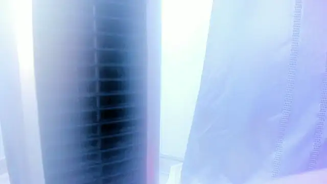 Emily Gil1 online show from January 2025 05:14:01 PM