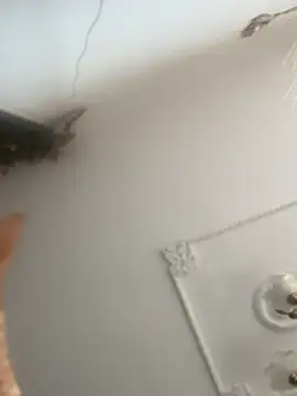 Snapshot of ValerieHilton chatting on December 2024 09:16:01 PM ValerieHilton online show from December 2024 09:16:01 PM