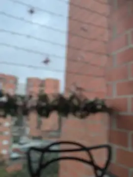 Snapshot of ValerieHilton chatting on December 2024 10:59:02 PM ValerieHilton online show from December 2024 10:59:02 PM