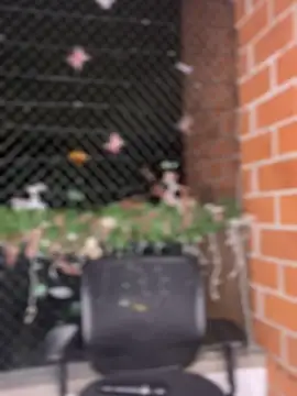 Snapshot of ValerieHilton chatting on January 2025 12:18:01 AM ValerieHilton online show from January 2025 12:18:01 AM