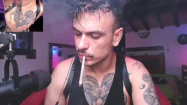 cek 186 online show from December 2024 06:59:01 PM