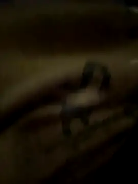 eveangelll online show from October 2025 03:51:01 AM