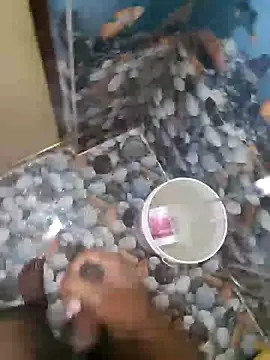 telugumoddahyd online show from November 2025 02:46:02 AM