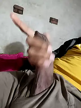 Pussy lover 33 online show from January 2025 03:03:01 PM