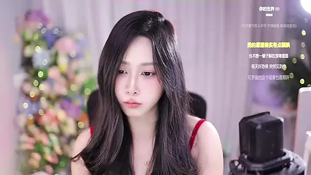 SleepArtist online show from January 2025 04:02:02 PM