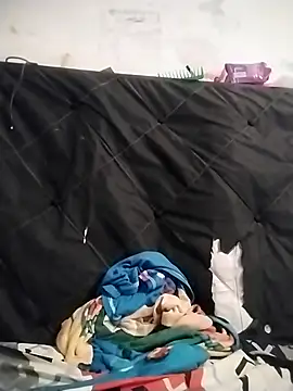 Snapshot of Avelics chatting on March 2025 04:17:02 AM Avelics online show from March 2025 04:17:02 AM