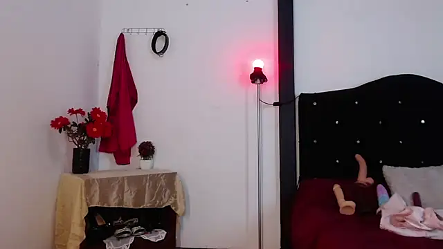 sirax66 online show from February 2025 03:50:01 AM