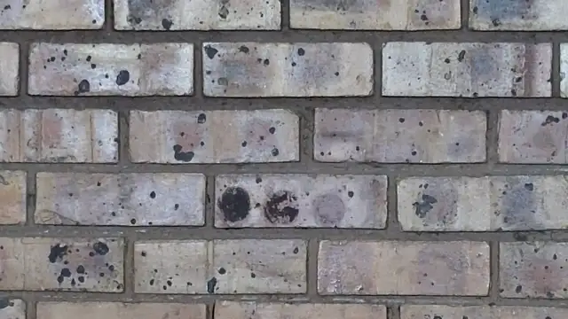 Astoria Moon online show from February 2025 07:07:01 PM