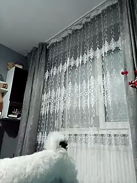 MikySWeet7 online show from December 2024 07:24:02 PM