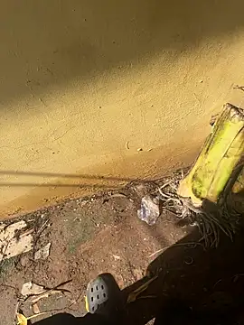 Black-mamba-madingo online show from October 2025 02:16:02 PM