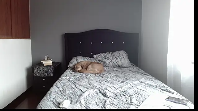 Emilia 1995 online show from January 2025 07:18:02 PM