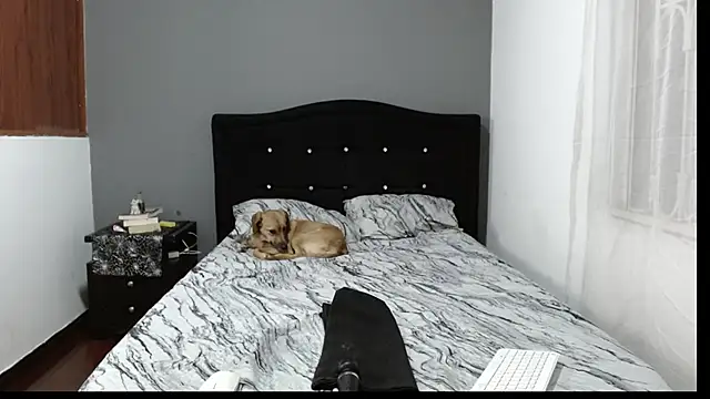 Emilia 1995 online show from January 2025 02:11:01 AM