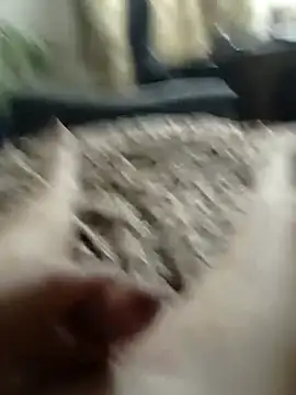 Snapshot of MityaXLoves chatting on March 2025 07:06:02 PM MityaXLoves online show from March 2025 07:06:02 PM