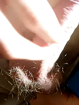 Snapshot of NudeYogaBoy chatting on January 2025 12:31:01 PM NudeYogaBoy online show from January 2025 12:31:01 PM