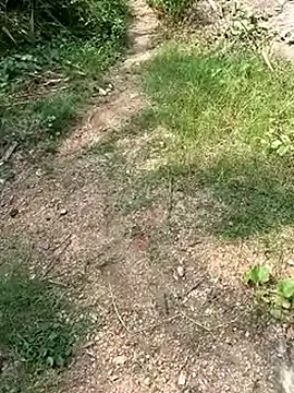 Snapshot of TamizhanKishwin7 chatting on November 2025 08:01:02 AM TamizhanKishwin7 online show from November 2025 08:01:02 AM