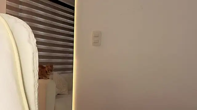 Snapshot of AtheneaRossi chatting on October 2025 12:41:02 PM AtheneaRossi online show from October 2025 12:41:02 PM