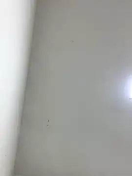 LinnaGardenia online show from October 2025 05:41:02 PM