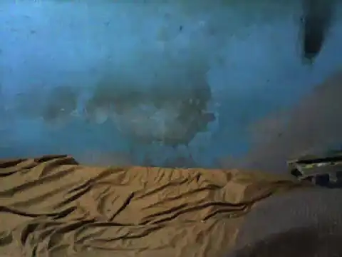 Snapshot of little__joy chatting on March 2025 02:37:02 AM little  joy online show from March 2025 02:37:02 AM