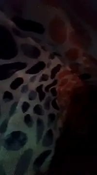 Snapshot of Xoc8_ chatting on December 2024 08:47:02 PM Xoc8 online show from December 2024 08:47:02 PM