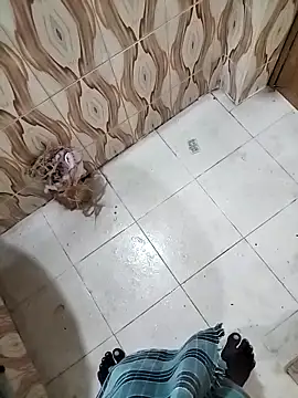 bas1cooks online show from September 2025 03:22:01 AM