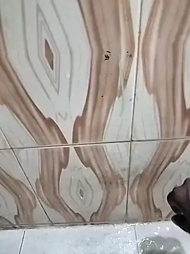 bas1cooks online show from November 2025 03:47:02 PM