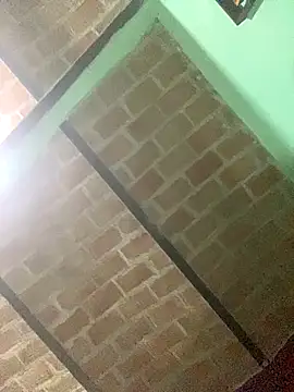 nowex18 online show from November 2025 01:48:02 AM