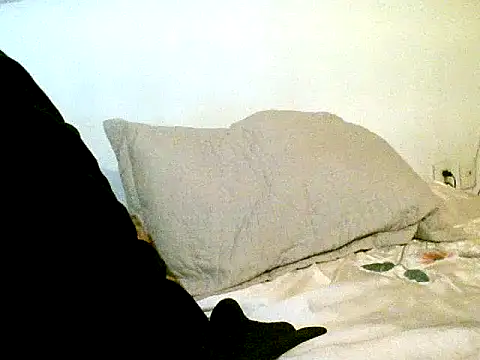 pollarikaaa online show from October 2025 01:23:01 PM