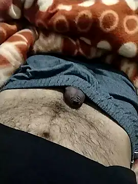 myhot1551 online show from January 2025 01:21:02 AM