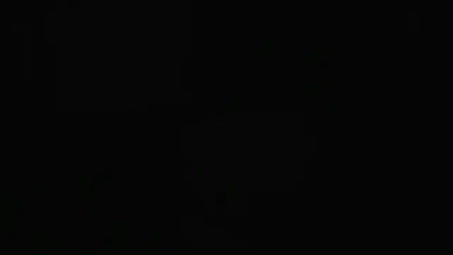 Snapshot of guy_master chatting on December 2024 02:09:02 AM guy master online show from December 2024 02:09:02 AM
