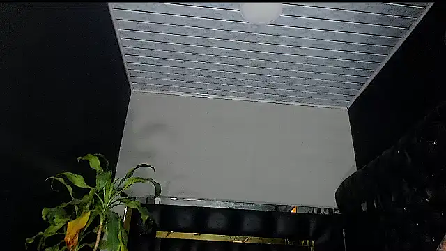 Kitie Petarda online show from October 2025 09:59:02 PM