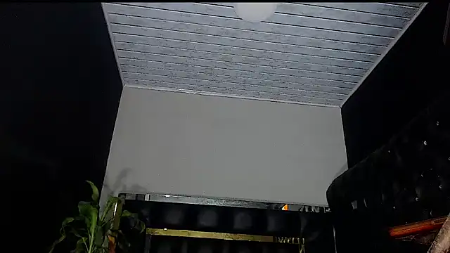 Kitie Petarda online show from October 2025 08:46:01 AM