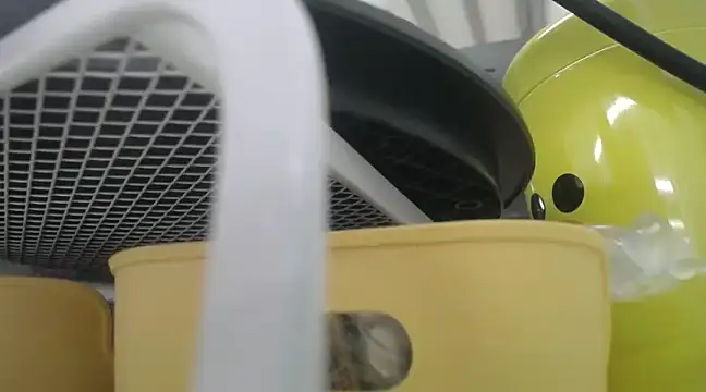 Snapshot of Lovensetest chatting on December 2024 10:24:01 AM Lovensetest online show from December 2024 10:24:01 AM