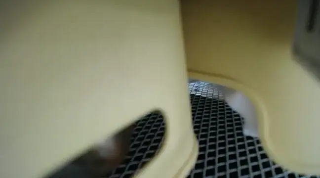 Snapshot of Lovensetest chatting on January 2025 06:54:01 AM Lovensetest online show from January 2025 06:54:01 AM