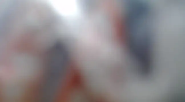 Snapshot of Lovensetest chatting on March 2025 06:48:02 AM Lovensetest online show from March 2025 06:48:02 AM