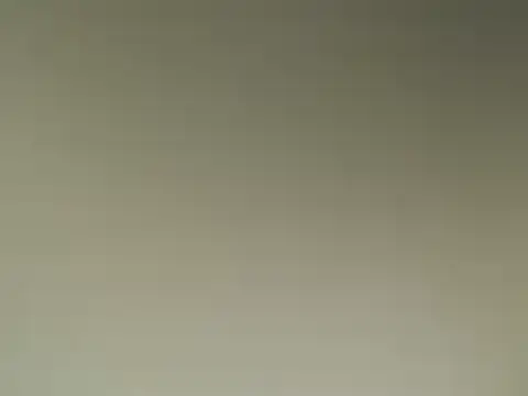 Snapshot of Lovensetest chatting on March 2025 01:32:02 AM Lovensetest online show from March 2025 01:32:02 AM