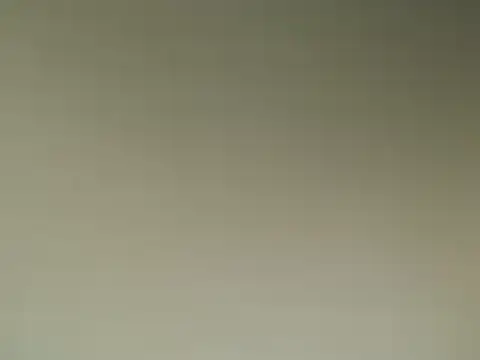 Snapshot of Lovensetest chatting on March 2025 08:48:01 AM Lovensetest online show from March 2025 08:48:01 AM