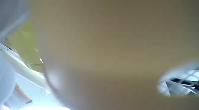 Snapshot of Lovensetest chatting on March 2025 09:34:02 AM Lovensetest online show from March 2025 09:34:02 AM