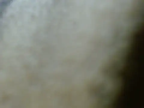 silky milky online show from October 2025 07:29:02 PM