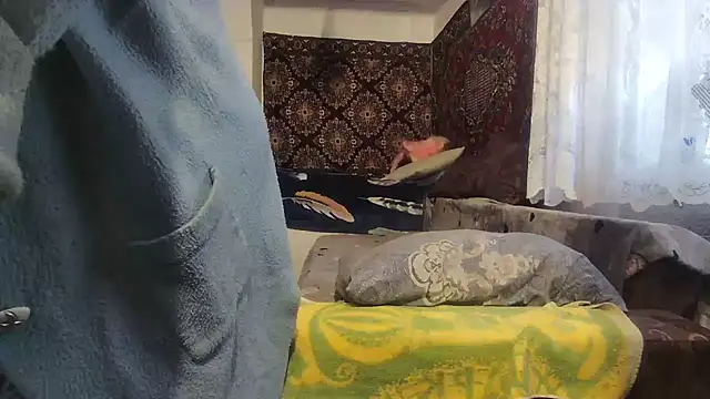 Snapshot of NataliiaRosa54 chatting on March 2025 05:02:01 AM NataliiaRosa54 online show from March 2025 05:02:01 AM